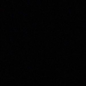 Meet your Posher, Neil